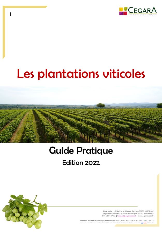 Plantations viticoles déc 2022