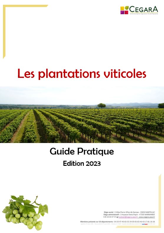 Plantations viticoles déc 2023