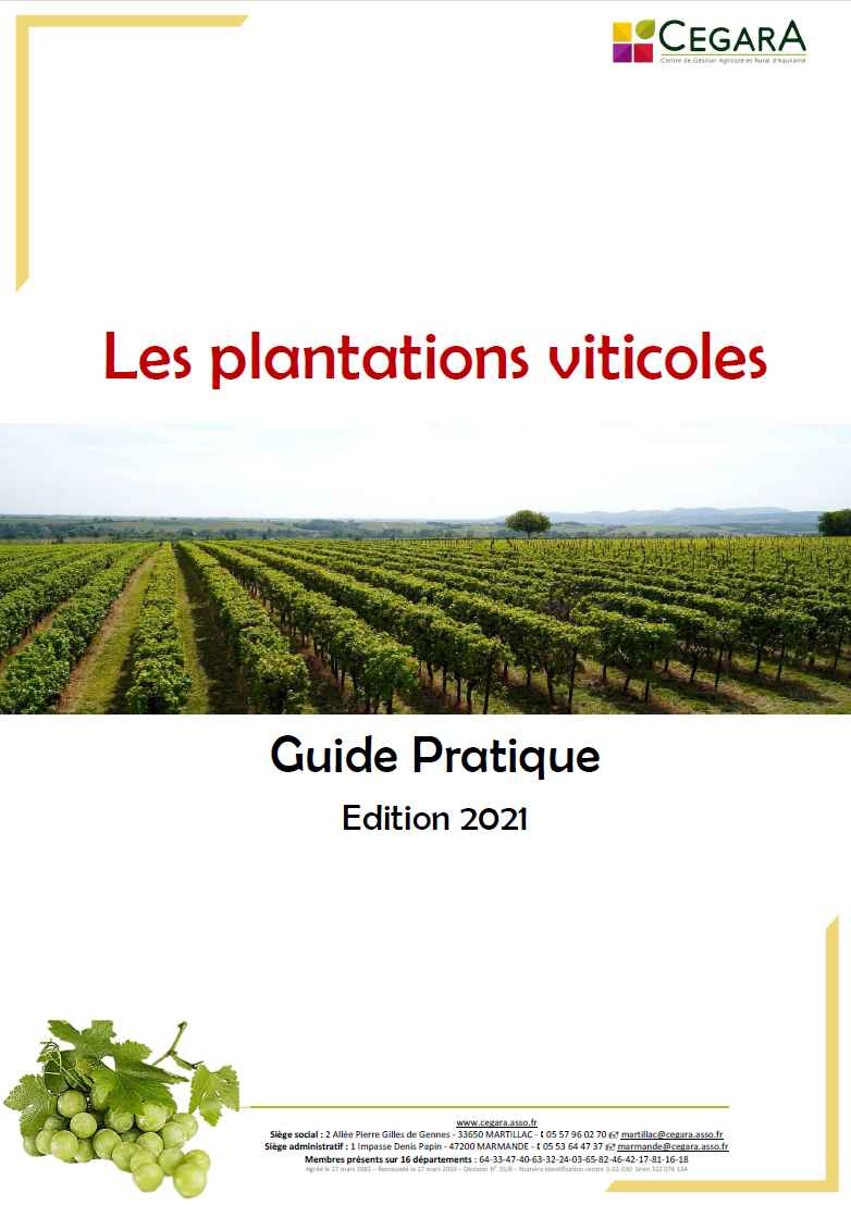 Plantations viticoles déc 2021